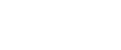 Logo of Istituto Pedro Nunes