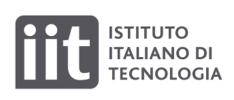 Logo of Istituto Italiano di Tecnologia
